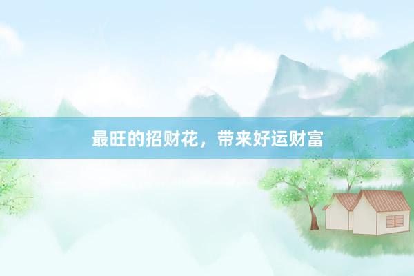 最旺的招财花，带来好运财富