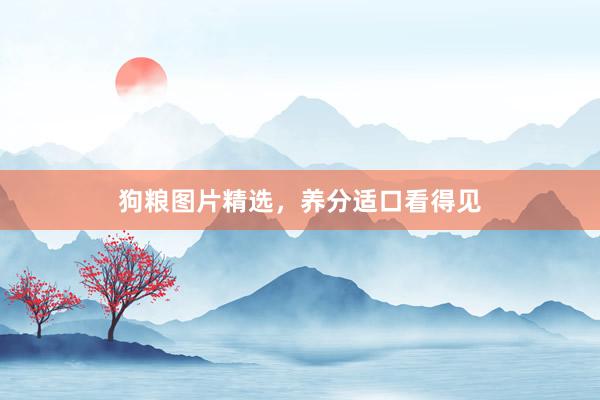 狗粮图片精选，养分适口看得见