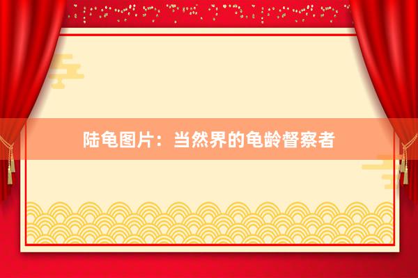 陆龟图片：当然界的龟龄督察者