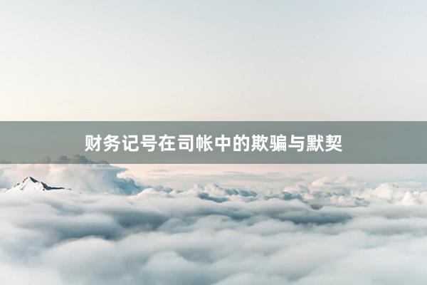 财务记号在司帐中的欺骗与默契